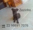 Zezinho 