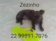 Zezinho 