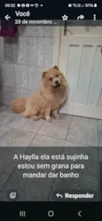 Haylla