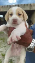 Théo