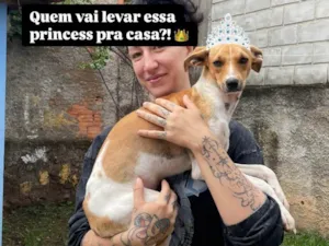 Cachorro raça SRD-ViraLata idade 1 ano nome Sem nome