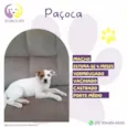 Paçoca