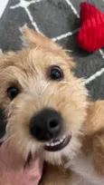 Nina