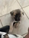 Não tem nomes