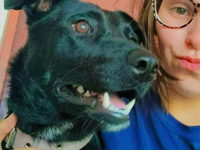 Cachorro ra a SRD-ViraLata idade 1 ano nome Julinho 