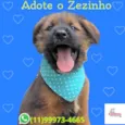 Zezinho