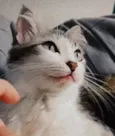 Kiki e Toph