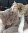 Kiki e Toph