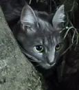 Kiki e Toph