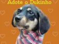 Dukinho