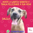 Dalila