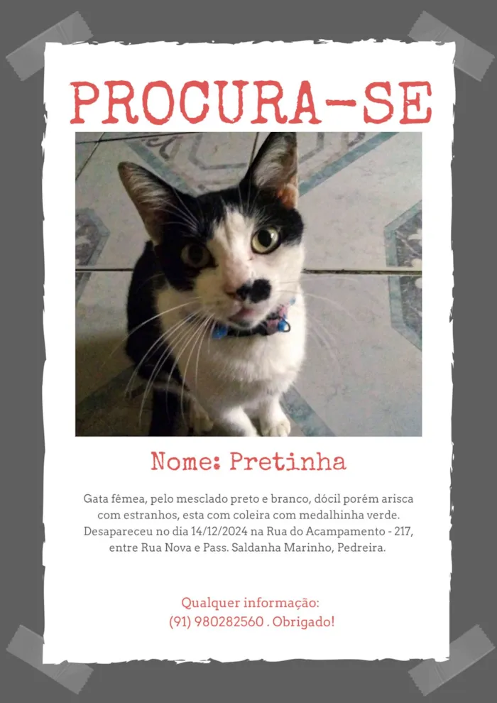 Gato ra a SRD-ViraLata idade 6 ou mais anos nome Pretinha
