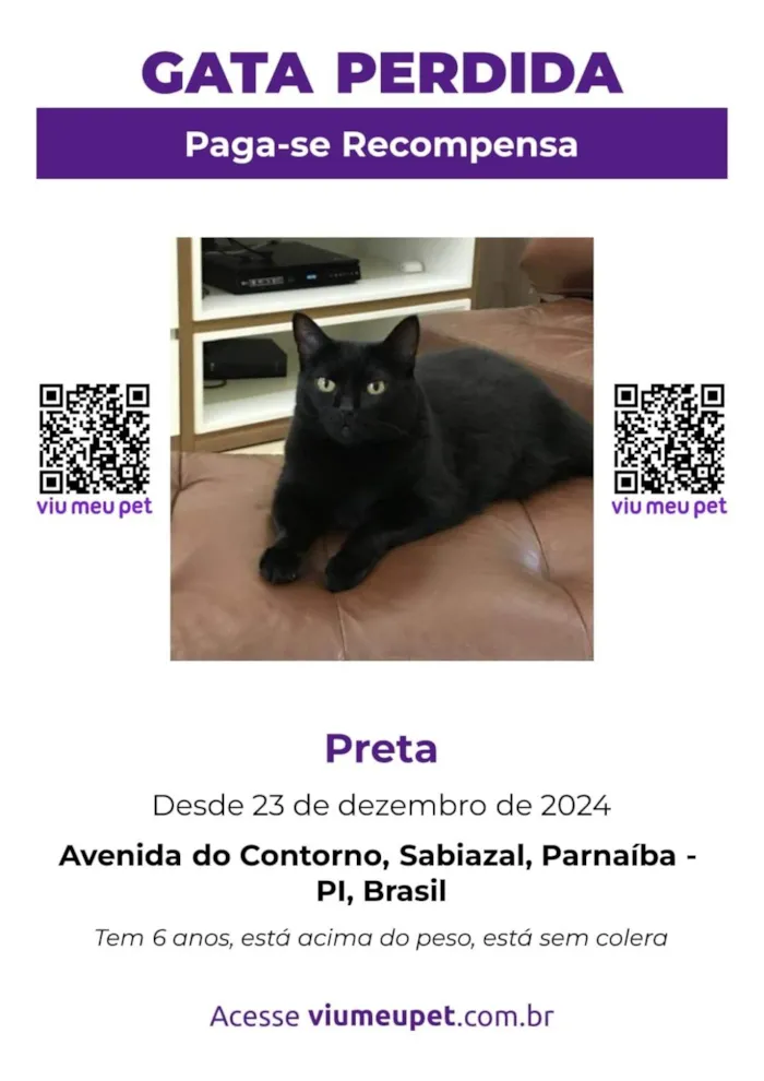 Gato ra a SRD-ViraLata idade 6 ou mais anos nome Preta