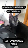 Alfredo