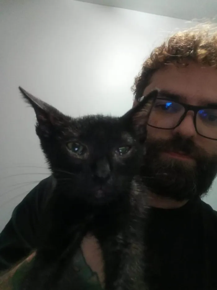 Gato ra a SRD-ViraLata idade Abaixo de 2 meses nome Pretinho