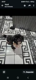 Desconhecido
