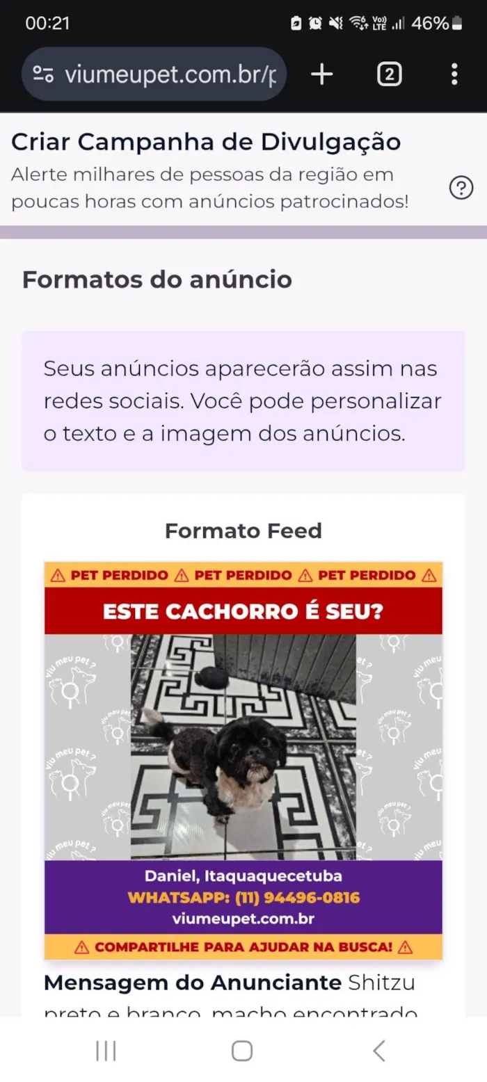 Cachorro ra a Shitzu idade 2 anos nome Desconhecido 