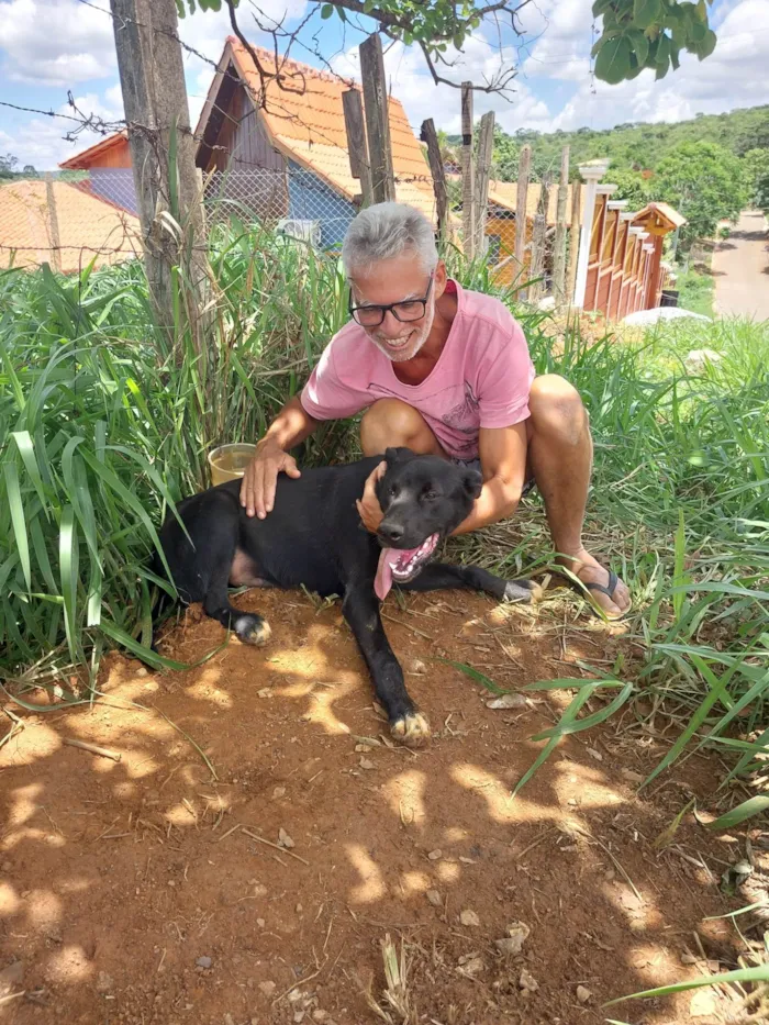 Cachorro ra a SRD-ViraLata idade 7 a 11 meses nome Black