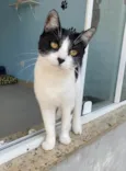 Maggie