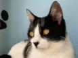 Maggie