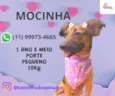 Mocinha