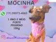 Mocinha