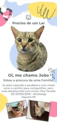 João