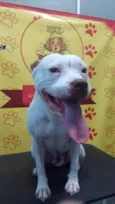 Kiara