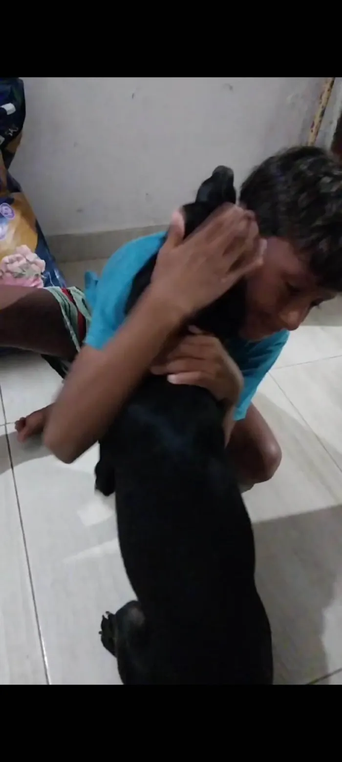 Cachorro ra a SRD-ViraLata idade 2 a 6 meses nome Neguinha 