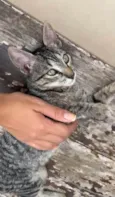 MAITÊ