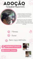 Sem nome