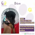 Biba