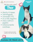 THOR