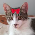 Tina