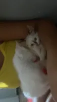 Tom é Tina