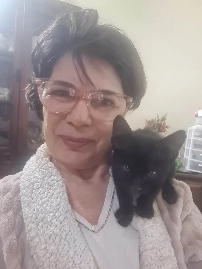 Gato ra a SRD-ViraLata idade Abaixo de 2 meses nome Banguela