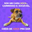 Frederico