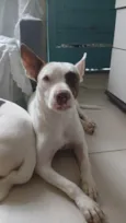 Rhela