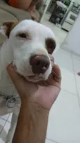 Rhela