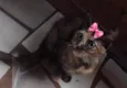 Nina
