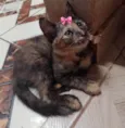 Nina