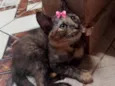 Nina