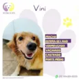 Vini