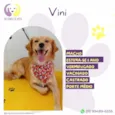 Vini