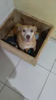 Princesa