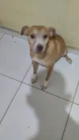 Princesa
