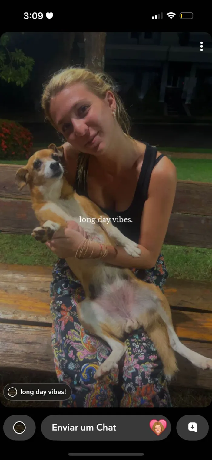 Cachorro ra a SRD-ViraLata idade 2 anos nome Bruna