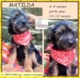 Matilda