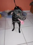 Kile