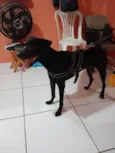 Kile